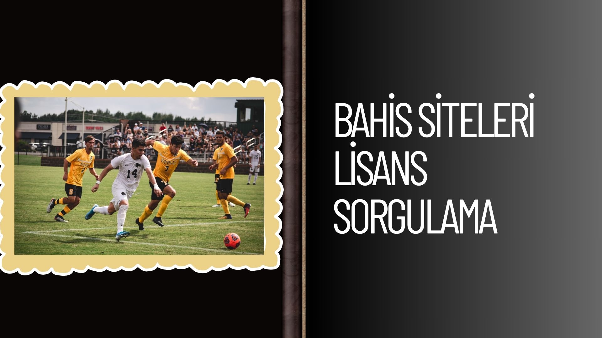 Bahis Siteleri Lisans Sorgulama